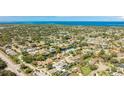 Expansive aerial view showcasing a vibrant residential area with mature trees near waterfront at 919 82Nd Nw St, Bradenton, FL 34209