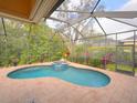 Kidney-shaped pool with spa and screened enclosure at 12338 Lavender Loop, Bradenton, FL 34212