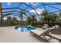 Screened pool and patio area with lounge chairs, offering a relaxing outdoor space at 14614 Newtonmore Ln, Lakewood Ranch, FL 34202