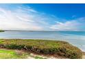 Scenic view of calm water, lush greenery and distant shoreline at 25 Tidy Island Blvd, Bradenton, FL 34210