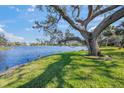 Lakefront backyard with large oak tree and lush landscaping at 4850 Sweetshade Dr, Sarasota, FL 34241