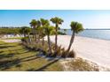 Community beachfront with palm trees and white sand at 2114 5Th E St, Palmetto, FL 34221