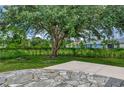 Backyard with stone patio and large shade tree at 2534 Stagnaro Rd, North Port, FL 34287