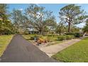 Mature oak tree and landscape pathway leading to home at 349 Scott Ave, Sarasota, FL 34243