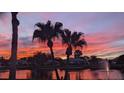 Scenic sunset view over a lake with palm trees and fountain at 5061 Seagrass Dr, Venice, FL 34293