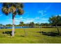 Picturesque rural property with a pond, lush pastures, palm trees, and cattle at 1226 Coral Ridge Dr, Punta Gorda, FL 33950