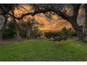 Relaxing backyard with a swing under a large oak tree at 3950 Red Rock Way, Sarasota, FL 34231