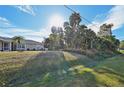 Landscaped side yard with lush grass and palm trees at 2551 Morrietta Ln, North Port, FL 34286