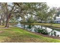 Serene pond with fountain, landscaping, and mature trees at 6009 Bonaventure Pl, Sarasota, FL 34243