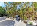 Outdoor grilling area with lush tropical landscaping at 115 Los Cedros Dr, Anna Maria, FL 34216