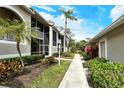 Landscaped walkway between condo buildings at 5250 Hyland Hills Ave # 1525, Sarasota, FL 34241