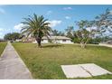 Single-story home featuring a mature palm tree in the front yard adding tropical curb appeal at 20313 Navajo Ln, Port Charlotte, FL 33952