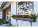 Close-up of exterior flower box brimming with white blossoms, adding to the home's curb appeal at 3446 Monica Pkwy, Sarasota, FL 34235