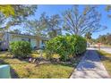 House with green exterior and manicured hedges along sidewalk at 2040 Palm Ter, Sarasota, FL 34231