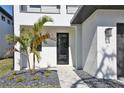 Close up of the home's front entrance with a modern door, young palm tree, and neutral landscaping at 2345 Oak Ter, Sarasota, FL 34231