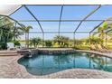 Relaxing screened pool with spa, lush landscape views and inviting lounge area at 5529 Mulligan Way, Bradenton, FL 34211