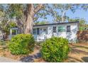 Charming one-story home with a well-maintained lawn, landscaped bushes, and mature trees at 2300 23Rd S St, St Petersburg, FL 33712