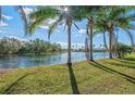 Tranquil waterfront view of a pond, lined with mature palm trees on the verdant backyard at 14730 1St E Ave, Bradenton, FL 34212