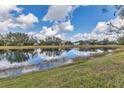 Scenic backyard view overlooking a tranquil lake surrounded by lush greenery and neighboring homes at 12046 Forest Park Cir, Bradenton, FL 34211