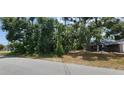 Vacant lot with mature trees and vegetation at 5367 Vantage St, North Port, FL 34288