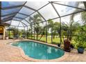 Inviting kidney-shaped pool with screened enclosure and lake view at 24087 Santa Inez Rd, Punta Gorda, FL 33955