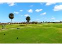Landscaped golf course with palm trees and fairways at 1736 Suzi St, Punta Gorda, FL 33950