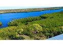 Stunning view of a serene waterway, bordered by lush mangrove and tropical vegetation at 10320 Lands End Cir # 47, Placida, FL 33946