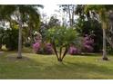 Lush tropical landscaping with palm trees and flowering plants at 21217 Knollwood Ave, Port Charlotte, FL 33952