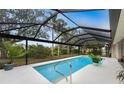 Relaxing screened-in pool area with lush landscaping at 188 Broadmoor Ln, Rotonda West, FL 33947