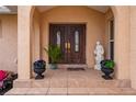 Elegant entryway with double doors, ornate detailing, and potted plants at 674 Monaco Dr, Punta Gorda, FL 33950