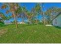 Spacious backyard with lush grass and palm trees at 1325 Goshen Rd, North Port, FL 34288