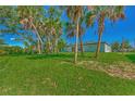 Large backyard with mature palm trees providing shade at 1325 Goshen Rd, North Port, FL 34288