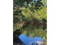 Serene waterfront view featuring a calm canal and mangrove trees at 24362 Yacht Club Blvd, Punta Gorda, FL 33955