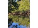 Tranquil waterfront view with lush mangrove trees and calm water at 24362 Yacht Club Blvd, Punta Gorda, FL 33955