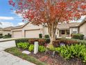 Villa with two-car garage and autumn foliage at 4149 Cascade Falls Dr, Sarasota, FL 34243