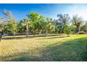 Backyard with a variety of palm trees and green spaces within a fenced perimeter at 27385 Neaptide Dr, Punta Gorda, FL 33983