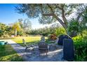Backyard patio area with comfortable seating, covered grill, and scenic tree view at 27385 Neaptide Dr, Punta Gorda, FL 33983