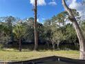 Scenic backyard view with lush greenery, mature trees, and a tranquil river at 1804 New London St, North Port, FL 34288