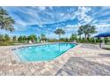 Community pool surrounded by lounge chairs, greenery, and palm trees offering a relaxing oasis at 26950 Pavin Dr, Englewood, FL 34223