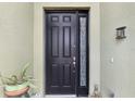 Black front door with glass sidelights and a decorative planter at 11479 Blackfin St, Venice, FL 34292