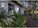 Landscaped side yard with tropical plants leading to the backyard at 421 Riviera St, Venice, FL 34285