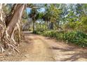 Long, plant-lined driveway leading to a home at 7630 Manasota Key Rd, Englewood, FL 34223