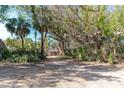 Driveway shaded by lush foliage leading to house at 7630 Manasota Key Rd, Englewood, FL 34223