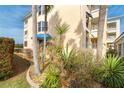 Landscaped grounds with lush tropical plants alongside condo building at 2424 Placida Rd # C101, Englewood, FL 34224