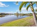 Peaceful lake view with lush green grass and palm trees at 484 Casalino Dr, Nokomis, FL 34275