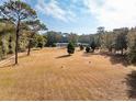 Wide open field with mature trees in the distance, surrounding a single-story ranch-style house at 9094 Preston Rd, Brooksville, FL 34601