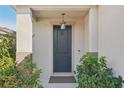 Modern dark gray front door with a light fixture and landscaping at 10710 Southern Forest Dr, Riverview, FL 33578
