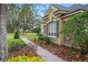 Landscaped walkway leading to home's side entrance at 6011 Hammock Hill Ave, Lithia, FL 33547