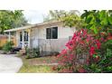 Charming single-story home showcasing colorful bougainvillea, front yard landscaping, and a paved driveway at 2954 37Th N Ave, St Petersburg, FL 33713