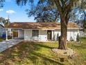 Inviting home exterior showcasing a mature shade tree and cozy front sitting area at 9608 Theresa Dr, Thonotosassa, FL 33592